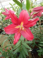 [5351 Gran Tourismo DJ No01.JPG]